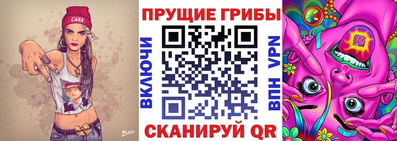 Псилоцибиновые грибы прущие грибы  МЕГА tor  Макаров 